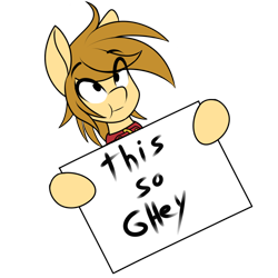 Size: 1000x1000 | Tagged: safe, artist:silverfox057, derpibooru import, oc, oc only, oc:silverblaze, pony, collar, exploitable, exploitable meme, ghey, meme, reaction image, sign, simple background, solo, transparent background