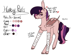 Size: 1320x1022 | Tagged: safe, artist:sweetmelon556, derpibooru import, oc, oc:honey bits, bat pony, pony, male, reference sheet, simple background, solo, stallion, transparent background