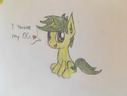 Size: 4032x3024 | Tagged: safe, artist:professionalpuppy, oc, oc only, oc:whatsapony, pony, absurd resolution, cute, heart, solo