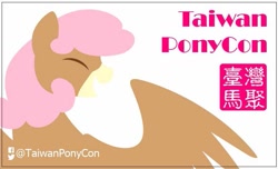 Size: 775x472 | Tagged: safe, derpibooru import, oc, oc:xiao mei, chinese, taiwan, taiwan ponycon