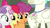 Size: 1920x1080 | Tagged: safe, derpibooru import, screencap, apple bloom, scootaloo, sweetie belle, terramar, classical hippogriff, hippogriff, pony, surf and/or turf, cutie mark crusaders, discovery family logo, jewelry, male, necklace