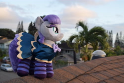 Size: 6000x4000 | Tagged: safe, artist:hystericalcub, artist:little-broy-peep, maud pie, pony, absurd resolution, clothes, dress, irl, photo, photography, plushie, socks, solo, striped socks