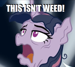 Size: 449x405 | Tagged: safe, derpibooru import, edit, edited screencap, screencap, mean twilight sparkle, pony, the mean 6, caption, cropped, drugs, dying, female, image macro, mare, marijuana, meme, open mouth, shaggy this isn't weed, solo, telling lies, you ruined everything