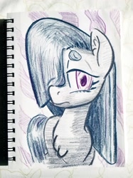 Size: 2398x3198 | Tagged: safe, artist:shoeunit, derpibooru import, marble pie, earth pony, pony, colored pencil drawing, female, mare, sketchbook, solo, traditional art
