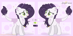 Size: 1024x514 | Tagged: safe, artist:sleppchocolatemlp, derpibooru import, oc, oc:diamond claws, dracony, hybrid, female, interspecies offspring, offspring, parent:rarity, parent:spike, parents:sparity, reference sheet, solo