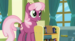 Size: 852x468 | Tagged: safe, screencap, cheerilee, pony, a flurry of emotions, book, bookshelf, solo