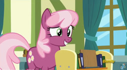 Size: 852x468 | Tagged: safe, screencap, cheerilee, pony, a flurry of emotions, book, bookshelf, solo