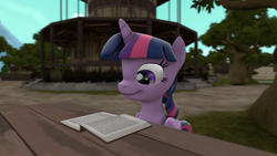 Size: 1920x1080 | Tagged: safe, artist:neoar2000, derpibooru import, twilight sparkle, twilight sparkle (alicorn), alicorn, 3d, adorkable, book, cute, dork, female, mare, ponyville, reading, solo, source filmmaker, twiabetes