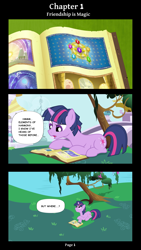 Size: 2185x3881 | Tagged: safe, artist:darkstorm mlp, derpibooru import, dusk shine, twilight sparkle, pony, unicorn, comic:friendship is magic 63, friendship is magic, book, comic, dialogue, elements of harmony, rule 63, scene interpretation