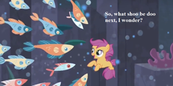 Size: 980x490 | Tagged: safe, derpibooru import, edit, edited screencap, screencap, scootaloo, fish, seapony (g4), surf and/or turf, cropped, cute, cutealoo, female, filly, pun, school of fish, sea-mcs, seaponified, seapony scootaloo, shoo be doo, species swap, text, underwater