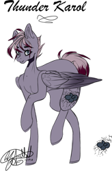 Size: 539x823 | Tagged: safe, artist:ohflaming-rainbow, derpibooru import, oc, oc:thunder karol, pegasus, pony, female, mare, simple background, solo, transparent background