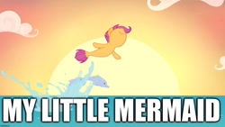 Size: 1280x720 | Tagged: safe, derpibooru import, edit, edited screencap, screencap, scootaloo, dolphin, mermaid, seapony (g4), surf and/or turf, image macro, meme, my little pony, pun, sea-mcs, seaponified, seapony scootaloo, species swap, the little mermaid