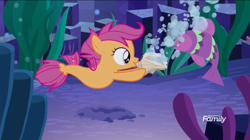 Size: 1440x804 | Tagged: safe, derpibooru import, screencap, scootaloo, fish, seapony (g4), surf and/or turf, bubble, conch, sea-mcs, seaponified, seapony scootaloo, seashell, species swap