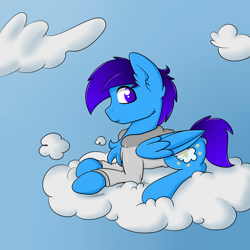 Size: 2000x2000 | Tagged: safe, artist:billysan727, derpibooru import, oc, oc only, oc:cloud gazer, pegasus, pony, chest fluff, clothes, cloud, cutie mark, ear fluff, hoodie, hooves, lying on a cloud, male, on a cloud, solo, stallion, wings