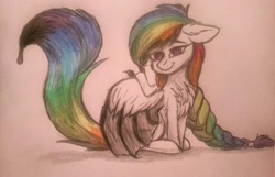 Size: 2364x1520 | Tagged: safe, artist:lillucy6, derpibooru import, oc, oc only, oc:rainbow ink, bat pony, bat pony oc, bat wings, braid, fluffy, rainbow hair, solo, traditional art