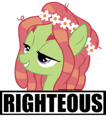 Size: 1500x1713 | Tagged: safe, artist:mitconnors, derpibooru import, tree hugger, earth pony, female, floral head wreath, flower, mare, righteous, simple background, solo, text, transparent background