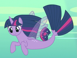 Size: 667x505 | Tagged: safe, derpibooru import, screencap, twilight sparkle, twilight sparkle (alicorn), alicorn, seapony (g4), season 8, surf and/or turf, cropped, seaponified, seapony twilight, solo, species swap