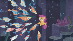 Size: 1920x1080 | Tagged: safe, derpibooru import, screencap, scootaloo, fish, seapony (g4), surf and/or turf, female, filly, school of fish, sea-mcs, seaponified, seapony scootaloo, species swap, underwater