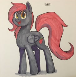 Size: 3024x3100 | Tagged: safe, artist:hypno, derpibooru import, oc, oc only, oc:scarlet berry, pegasus, pony, marker drawing, red mane, traditional art