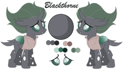 Size: 774x435 | Tagged: safe, artist:mlpcrystalharmony, artist:selenaede, derpibooru import, oc, oc only, oc:blackthorne, changeling, base used, changeling oc, clothes, female, green changeling, pirate, reference sheet, shirt, simple background, solo, transparent background