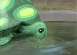 Size: 1280x919 | Tagged: safe, artist:desertfox500, tank, tortoise, drinking, looking down, reflection, signature, smiling, solo, water