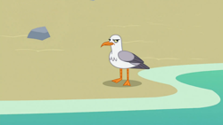 Size: 1920x1080 | Tagged: safe, derpibooru import, screencap, seagull, surf and/or turf, animal, beach, frown, glare, grumpy, no pony, solo, water