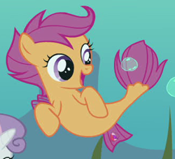 Size: 330x300 | Tagged: safe, derpibooru import, screencap, scootaloo, seapony (g4), surf and/or turf, cropped, female, filly, sea-mcs, seaponified, seapony scootaloo, solo focus, species swap