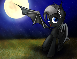 Size: 2600x2000 | Tagged: safe, artist:upsidedownpanda, oc, oc only, oc:shadow wings, bat pony, pony, night, solo