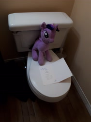 Size: 3456x4608 | Tagged: safe, derpibooru import, twilight sparkle, but why, irl, photo, plushie, reading, solo, toilet