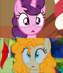 Size: 593x689 | Tagged: safe, derpibooru import, screencap, pear butter, sugar belle, earth pony, pony, unicorn, the break up breakdown, the perfect pear, comparison, female, mare, sad, teary eyes