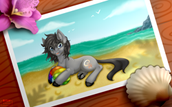 Size: 1920x1200 | Tagged: safe, artist:striped-chocolate, derpibooru import, oc, oc only, pony, beach, beach ball, flower, male, photography, rcf community, shell, ych result