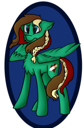 Size: 2104x3200 | Tagged: safe, artist:ponycrown, derpibooru import, oc, oc only, oc:red heart, pegasus, pony, chest fluff, high res, male, simple background, solo, stallion, transparent background