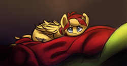 Size: 3854x2000 | Tagged: safe, artist:syntaxartz, derpibooru import, oc, oc:archi sketch, pegasus, pony, blanket, cute, fabric, male, smol, solo