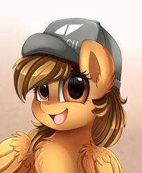 Size: 1446x1764 | Tagged: safe, artist:pridark, derpibooru import, oc, oc:joycie, pegasus, pony, avicii, bust, cap, commission, cute, hat, ocbetes, portrait, solo