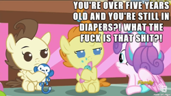 Size: 610x343 | Tagged: safe, edit, edited screencap, screencap, pound cake, princess flurry heart, pumpkin cake, pony, a flurry of emotions, discovery family logo, image macro, meme, question, vulgar