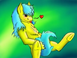 Size: 1600x1200 | Tagged: safe, derpibooru import, oc, oc:golden rule, blue mane, blushing, colored, cute, heart, on back, red eyes, shading, spread legs, spreading, tongue out, yellow fur