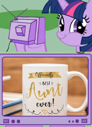 Size: 562x770 | Tagged: safe, twilight sparkle, pony, best aunt ever, exploitable, exploitable meme, faic, meme, mug, obligatory pony, smirk, tv meme, twiface, twilight is bae