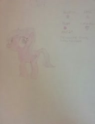 Size: 1944x2538 | Tagged: safe, artist:jerryakira79, derpibooru import, oc, oc only, oc:purple heart, reference sheet, traditional art