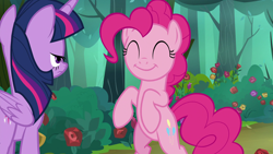 Size: 1920x1080 | Tagged: safe, derpibooru import, screencap, pinkie pie, twilight sparkle, twilight sparkle (alicorn), alicorn, earth pony, pony, the mean 6, bipedal, cute, diapinkes, duo, everfree forest, eyes closed, female, flower, forest, mare, rose, smiling, standing, unamused