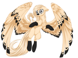 Size: 1024x762 | Tagged: safe, artist:little-sketches, oc, oc only, oc:hikari, pegasus, pony, colored wings, colored wingtips, female, mare, simple background, solo, spread wings, transparent background, wings