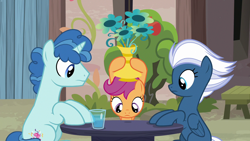 Size: 1280x720 | Tagged: safe, screencap, night glider, party favor, scootaloo, pony, hard to say anything, flower, hooves on the table, vase