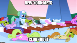 Size: 888x499 | Tagged: safe, edit, edited screencap, screencap, pony, applebuck season, baseball, image macro, meme, mlb, new york mets, obligatory pony