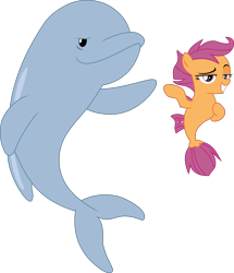 Size: 1520x1765 | Tagged: safe, artist:frownfactory, derpibooru import, scootaloo, dolphin, seapony (g4), surf and/or turf, .svg available, female, filly, grin, lidded eyes, seaponified, seapony scootaloo, simple background, smiling, species swap, svg, transparent background, vector