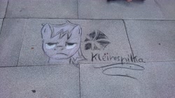 Size: 5984x3366 | Tagged: safe, artist:kleinespika, derpibooru import, oc, oc:blizzard, chalk, chalk drawing, galacon, galacon 2018, traditional art