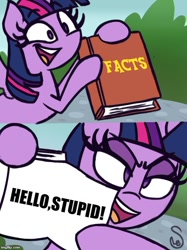 Size: 500x667 | Tagged: safe, artist:quarium edits, derpibooru import, twilight sparkle, twilight sparkle (alicorn), alicorn, book, ed edd n eddy, exploitable meme, image macro, meme, twilight's fact book