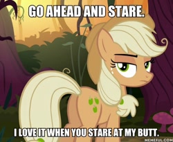 Size: 600x493 | Tagged: safe, derpibooru import, edit, edited screencap, screencap, mean applejack, the mean 6, blatant lies, clone, female, image macro, mare, meme, plot, solo