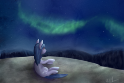 Size: 1024x683 | Tagged: safe, artist:restartbob, oc, oc only, oc:cosmia nebula, pony, aurora borealis, rock, sitting, solo