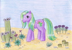 Size: 1024x721 | Tagged: safe, artist:normaleeinsane, pony, g3, cactus, desert, desert blossom, flower, solo, traditional art