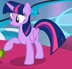 Size: 706x679 | Tagged: safe, derpibooru import, screencap, twilight sparkle, twilight sparkle (alicorn), alicorn, pony, horse play, cropped, female, horn, mare, smiling, wings