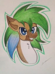 Size: 1024x1365 | Tagged: safe, artist:luxiwind, derpibooru import, oc, oc:luxi wind, pony, bust, male, portrait, solo, stallion, traditional art